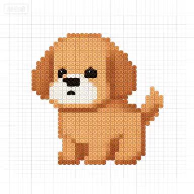 Animal-dog