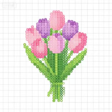 Plant-Tulip